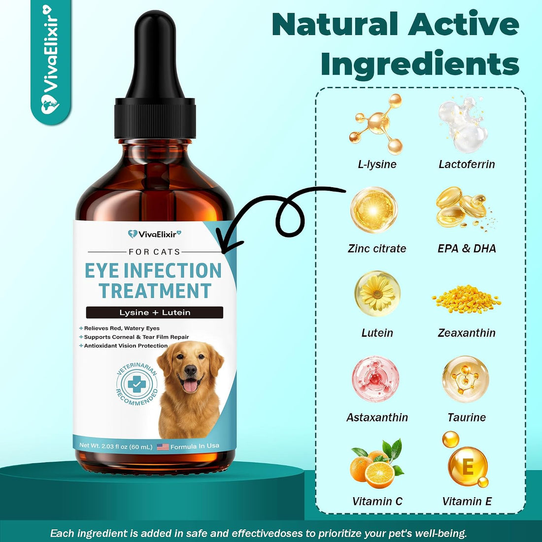 Dog Eye Infection & Eye Care Support Supplements
