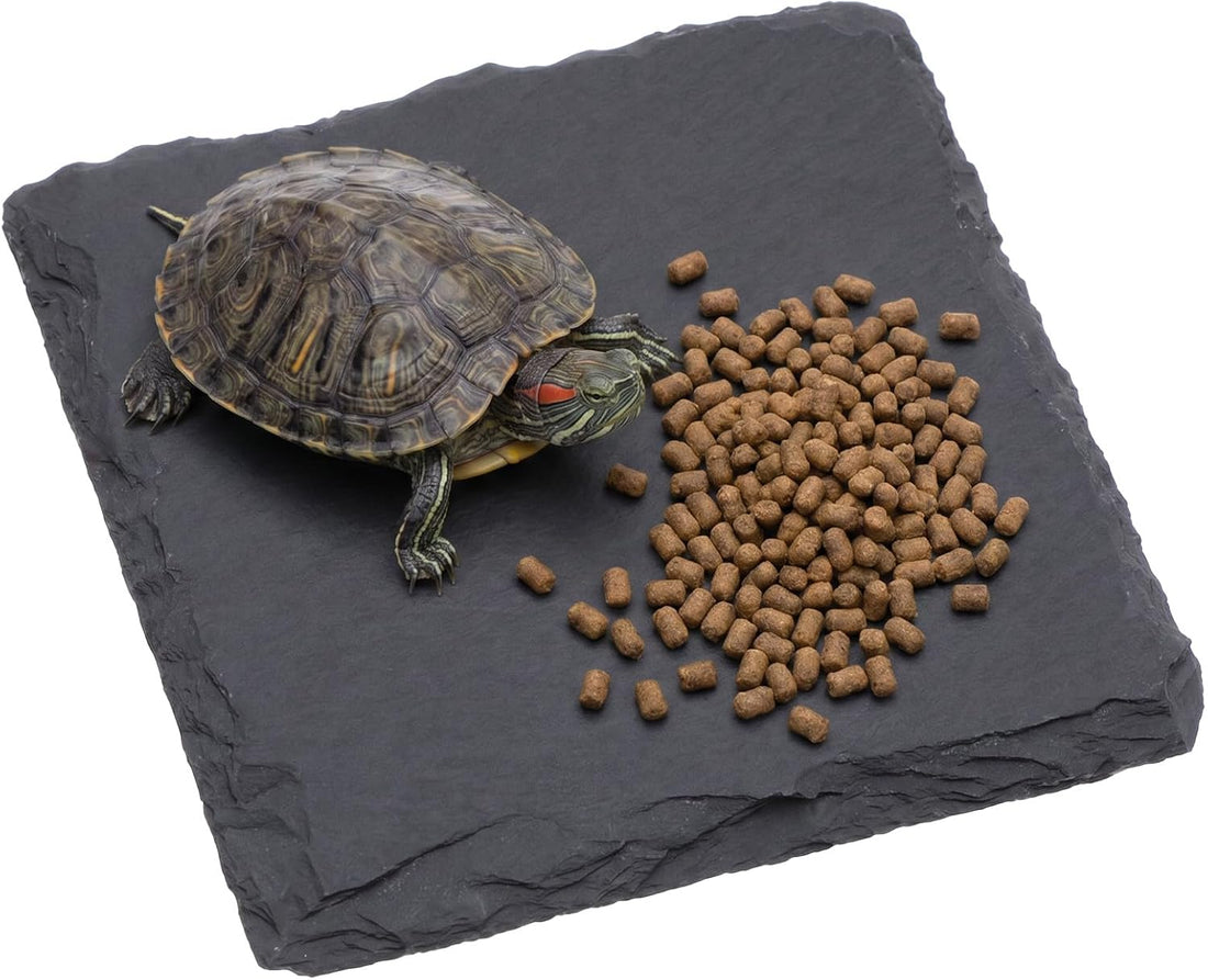 Basking Platform Turtle Reptile Basking Tortoise Slate Rock Plate 6