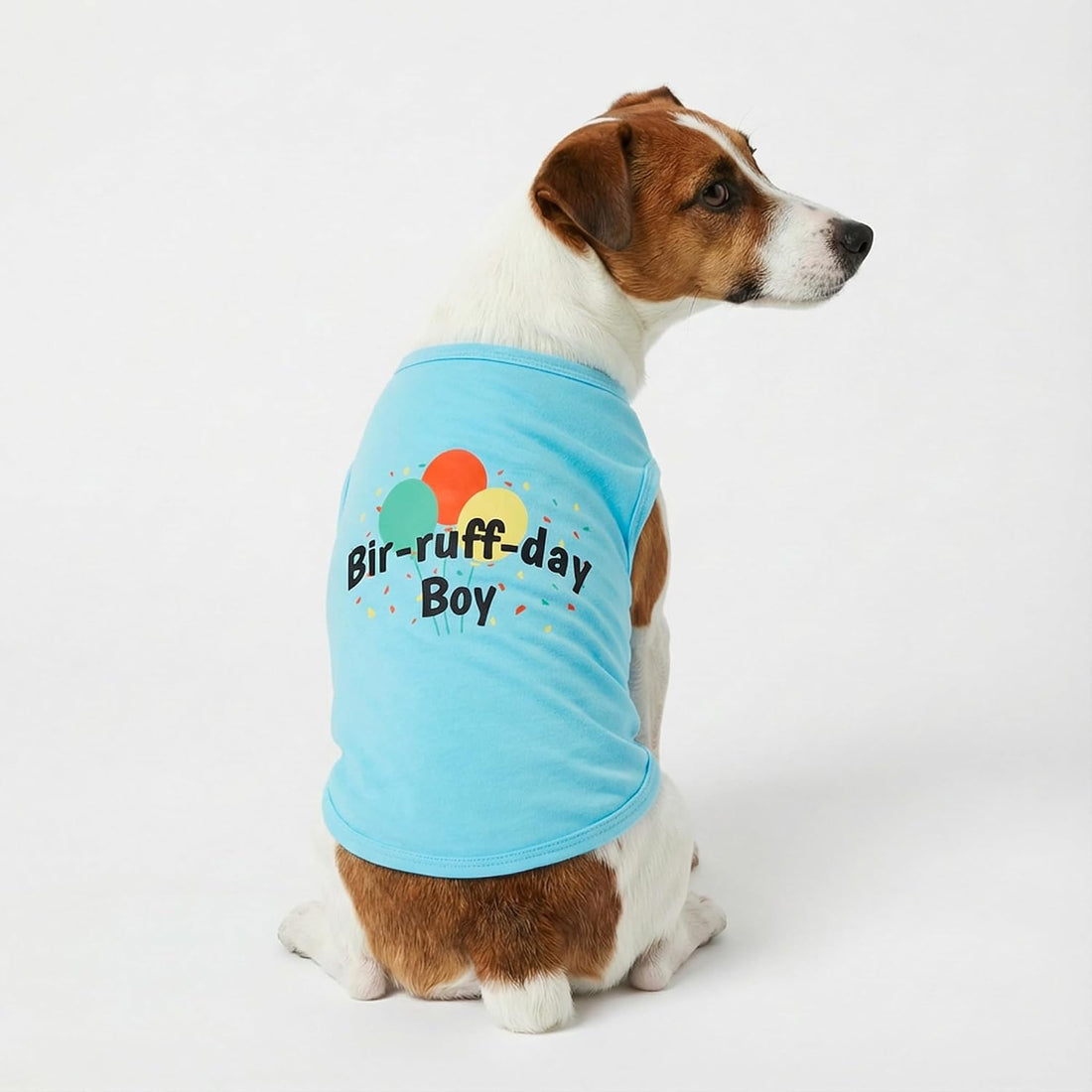 Fitwarm Birthday Boy Dog Shirt