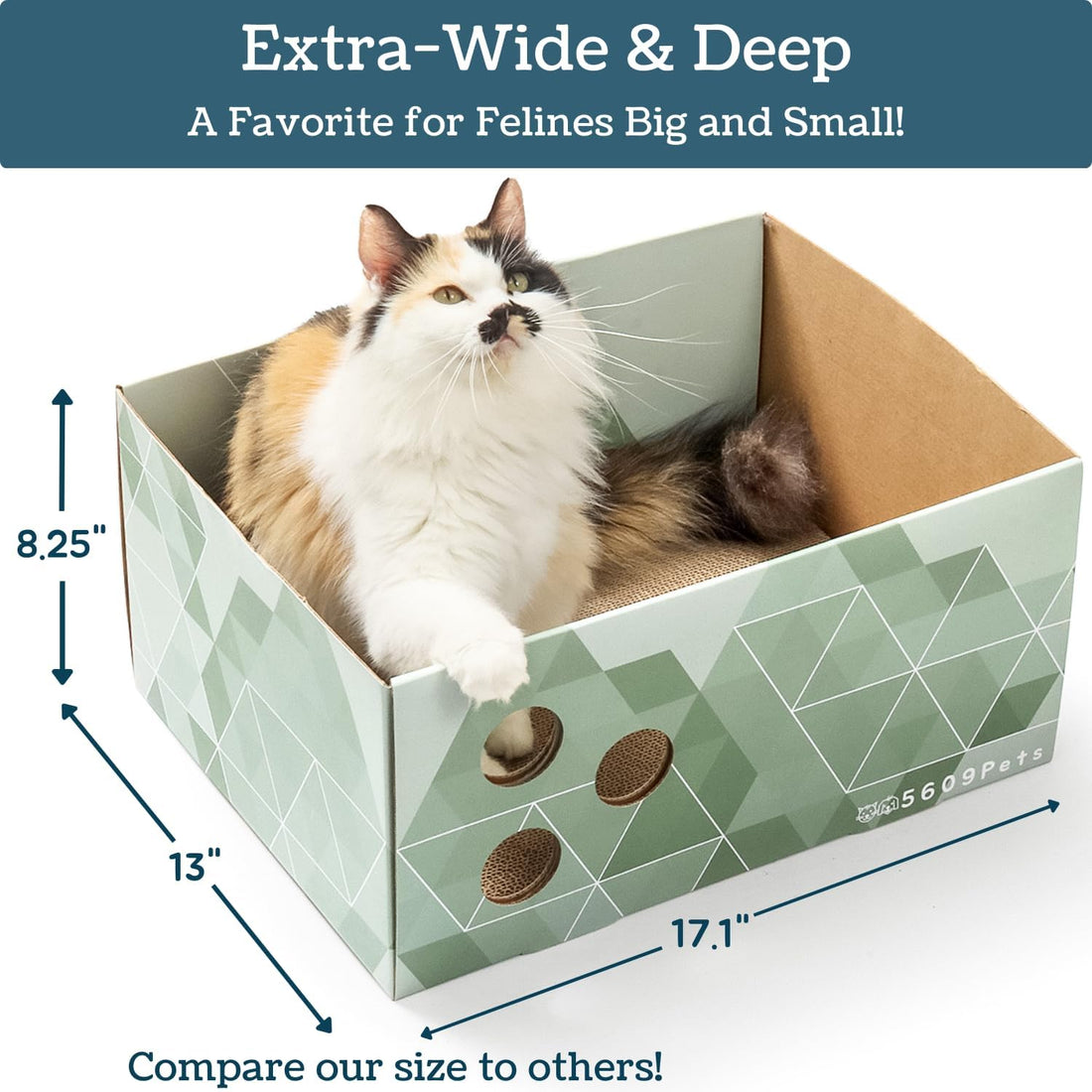 No-Mess Cardboard Cat Scratcher Box