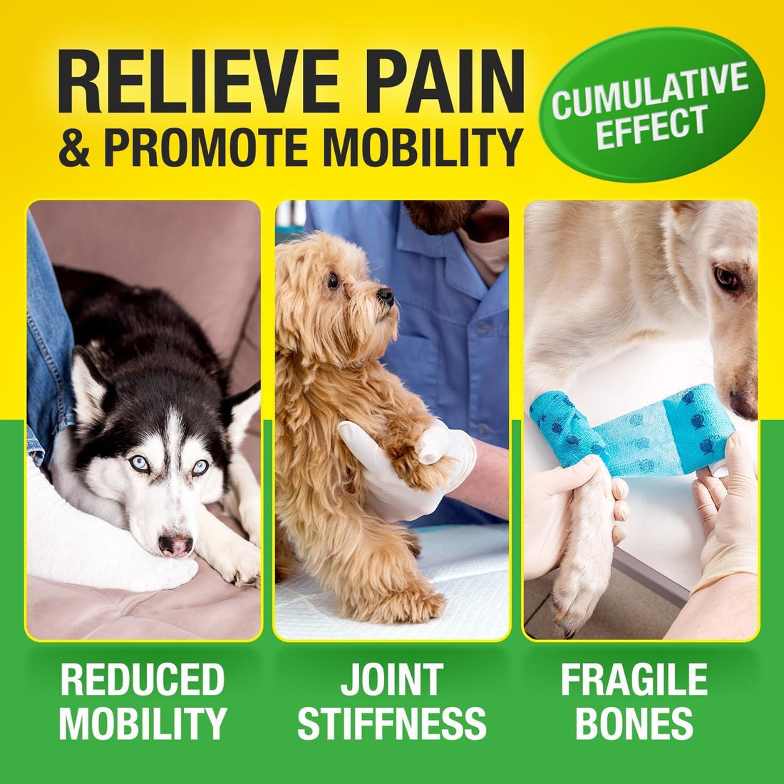 Glucosamine Chondroitin for Dogs - Hip Joint Supplement