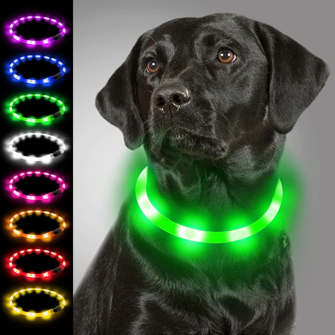 Joytale Light Up Dog Collar, LED Silicone Cut-to-Fit Rainproof