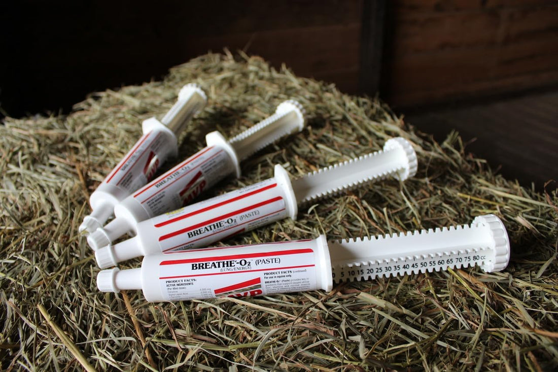 MVP Breathe O'2 Pre-Race Paste to Support Lung/Airway Function