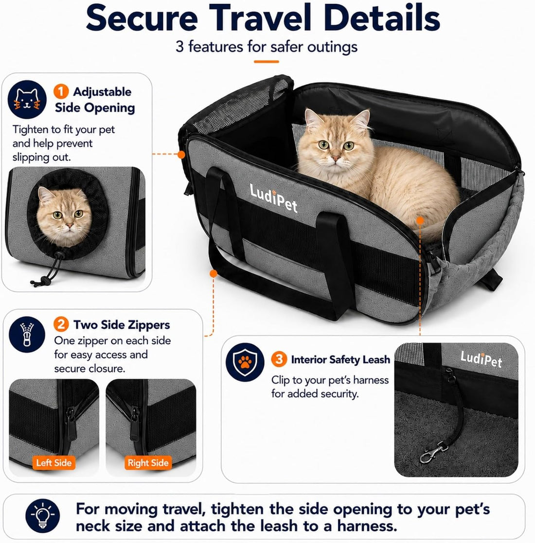 Airline-Friendly Pet Carrier for Cats and Small Dogs