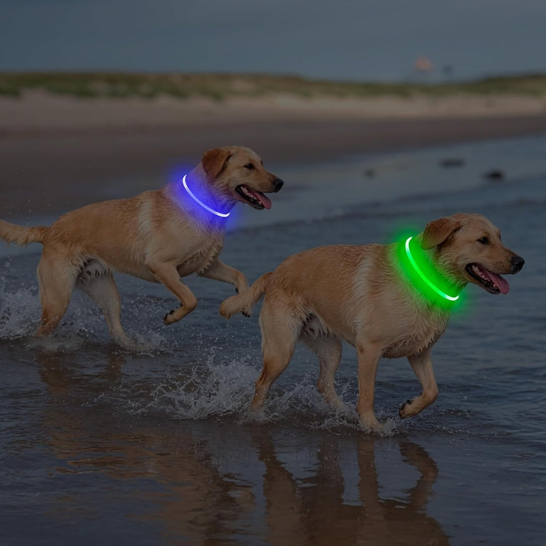 2 Packs Light Up Dog Collar, Kpuplol USB Rechargeable Dog Lights