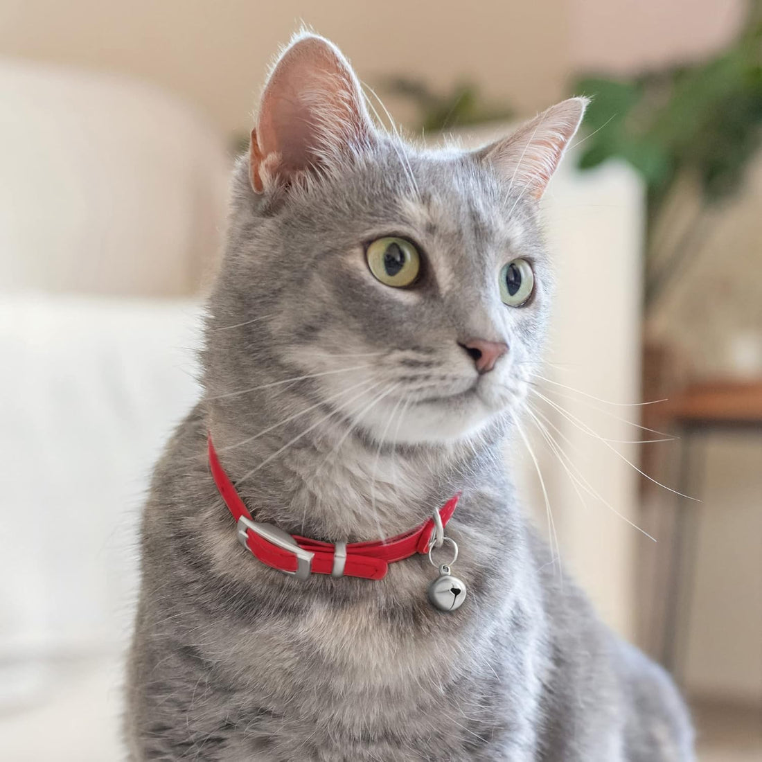Soft Leather Cat Collar with Safety Elastic Strap