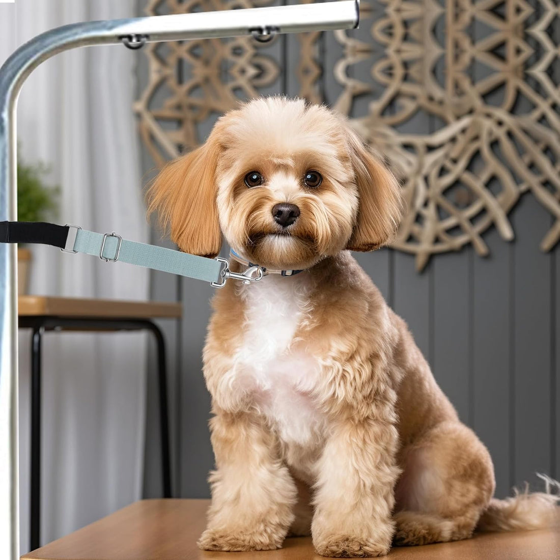 CUTEABC Pet Dog Grooming Arm Extender