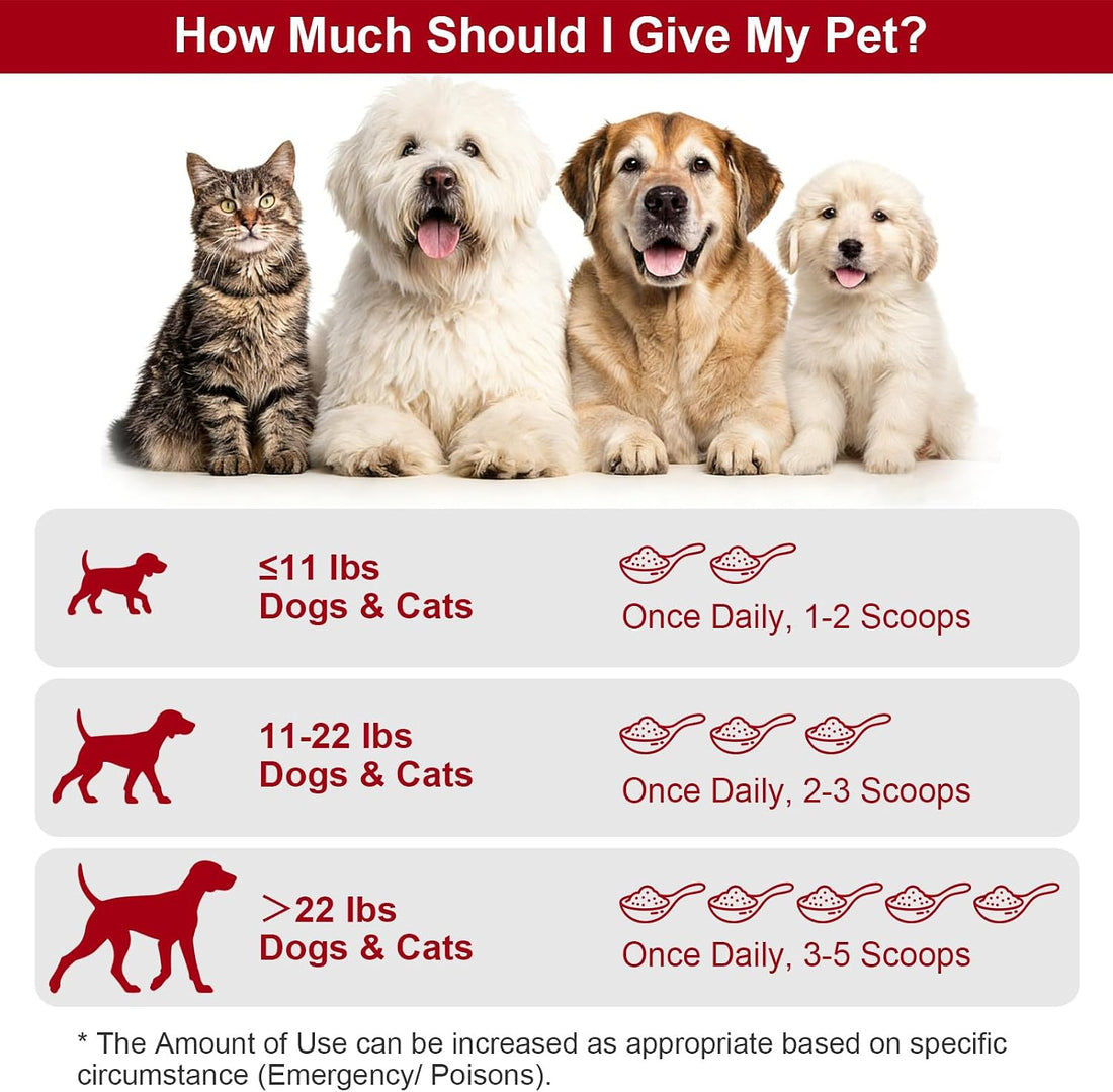Activated Charcoal Powder for Dogs Cats
