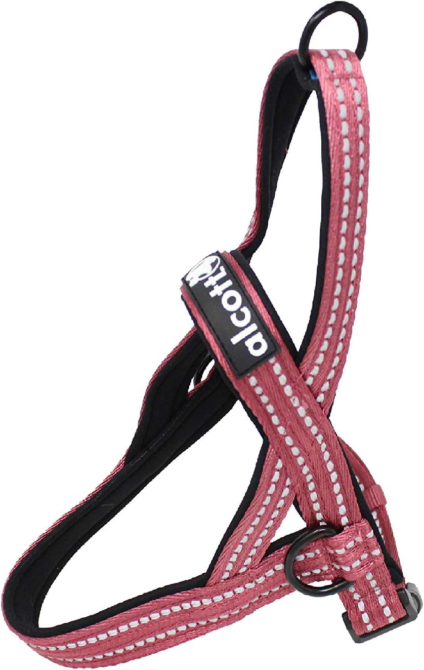 Alcott Norwegian Harness, Blue, Medium,NOR HNS MD BL