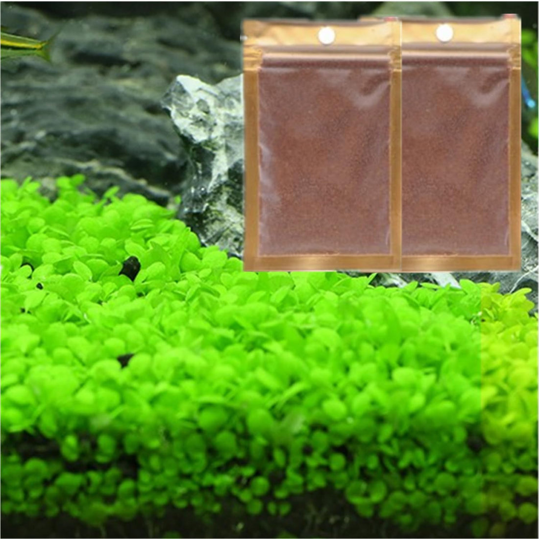 2 Pack Aquarium Plants for Fish Tank Easy Growing Real Carpet Decor