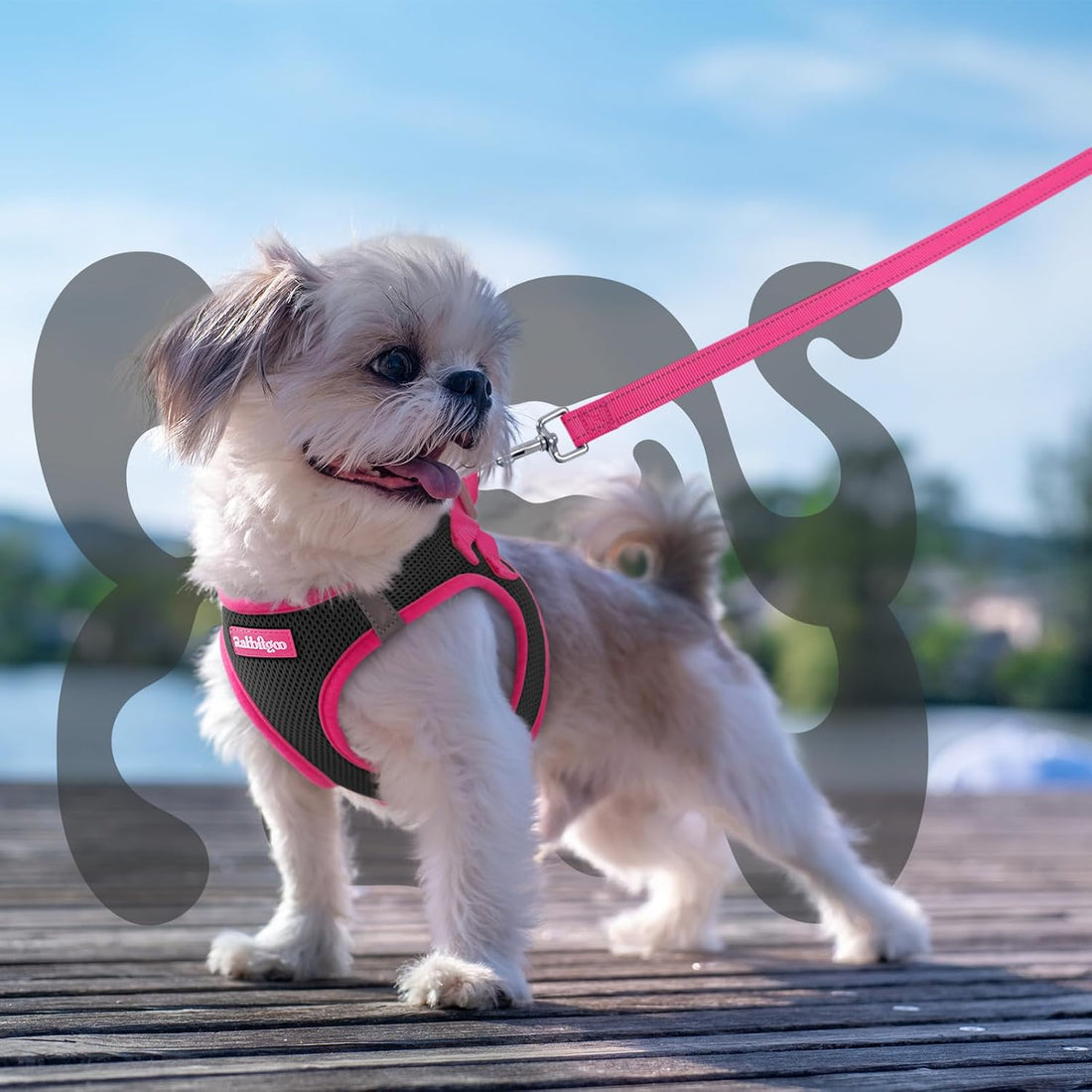 rabbitgoo Dog Harness Small Sized and Leash Set
