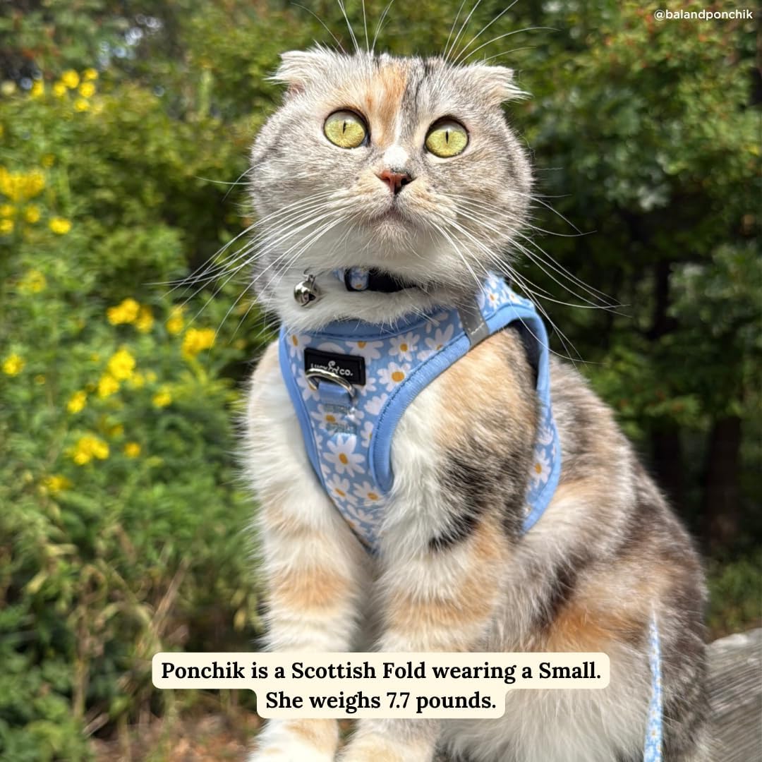 Lucy & Co. Simply Splendid Step-in Cat Harness & Leash Bundle