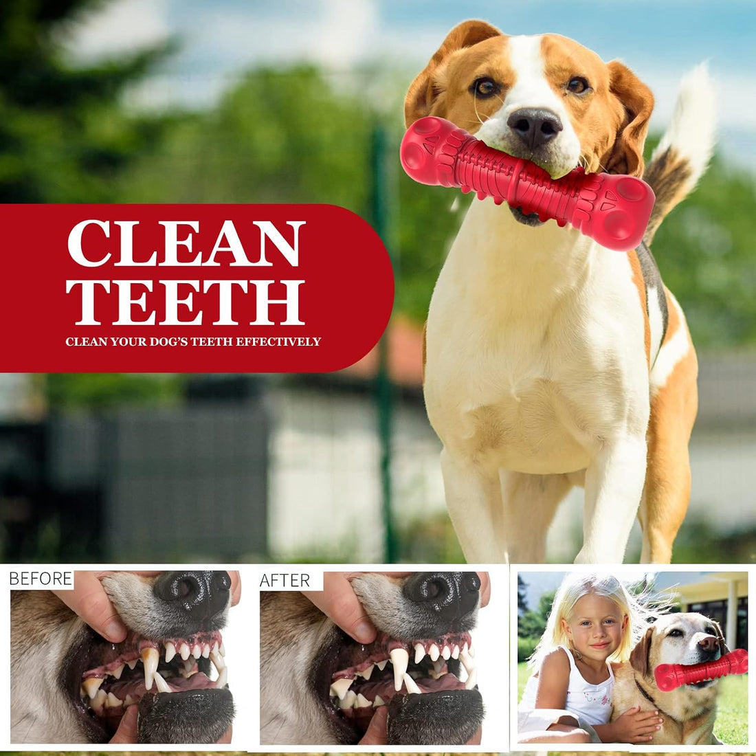 ZIKATON Dog Squeaky Toys for Aggressive Chewers