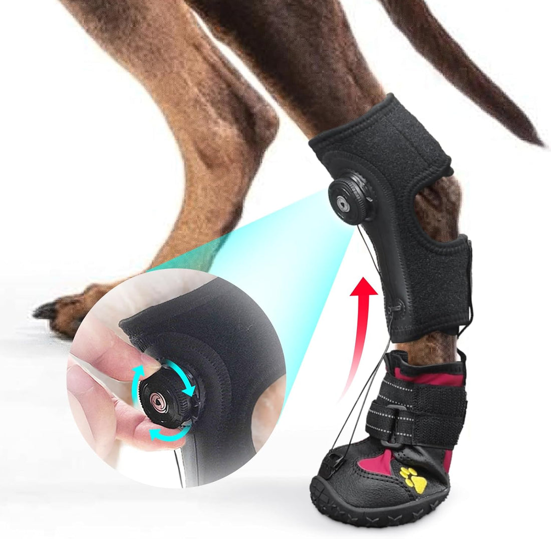 Strap-On Drop Foot Brace (No Knuckling Boot Brace) for Dogs, M