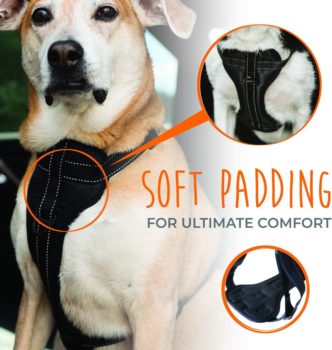 Mighty Paw Dog Car Harness - Vehicle Safety Gear - 2 Leash Attachment
