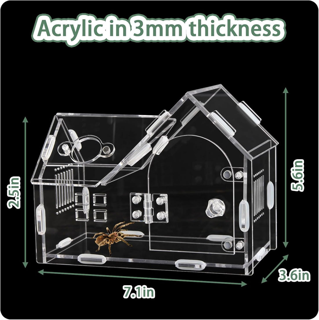 Acrylic Jumping Spider Enclosure House-Shaped Terrarium