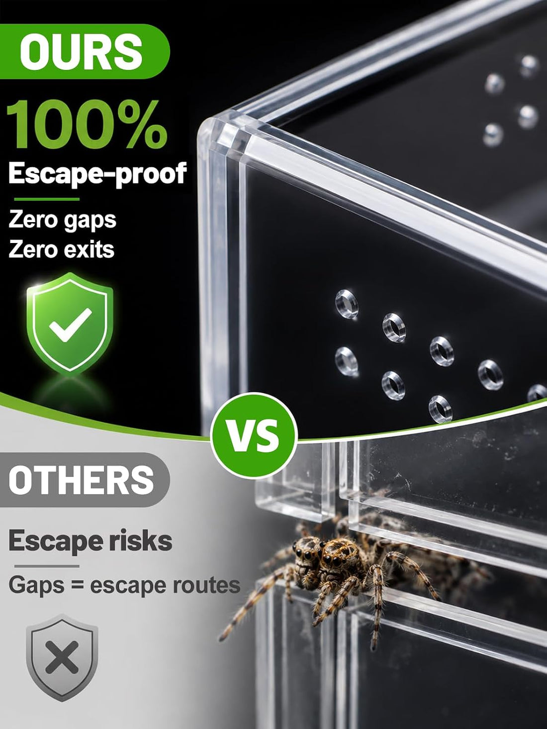 Escape-Proof One-Piece Jumping Spider Enclosure Accessories