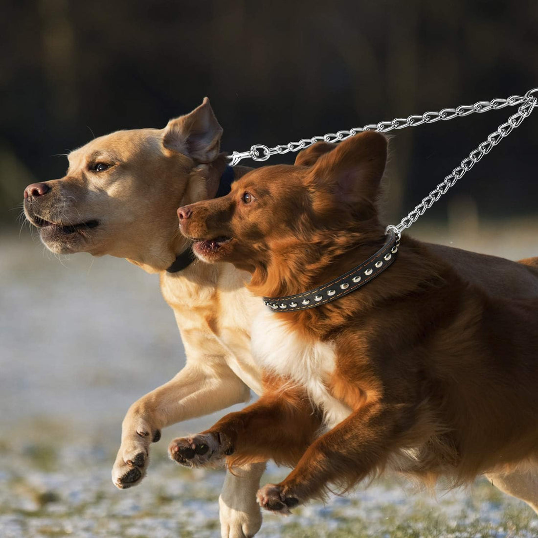 PETTOM Heavy Duty 2 Way Dog Lead Metal Chain Double Pet Clip Leash