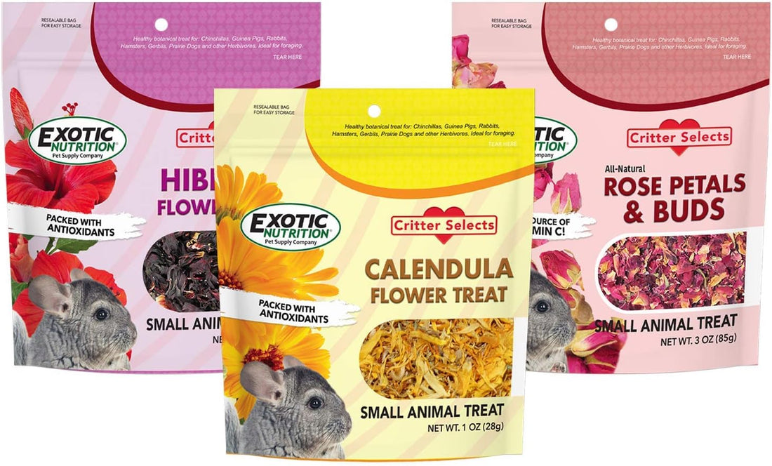 Exotic Nutrition Flower Treat 3 Pack - Healthy Assortment - Hibiscus