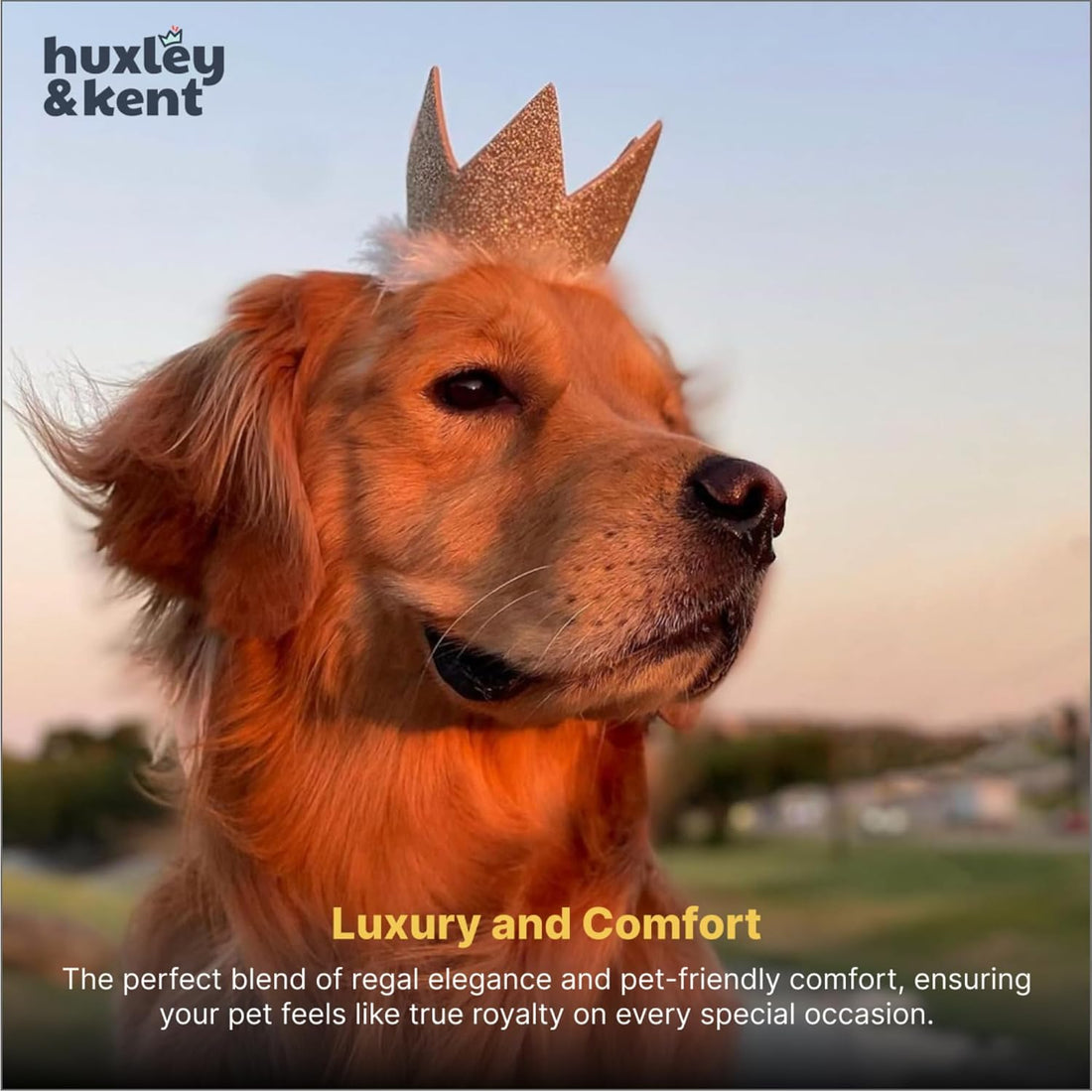 Huxley & Kent Party Crown Hat for Dogs & Cats
