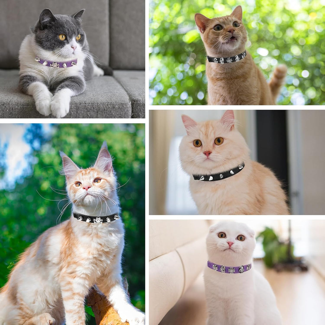 EXPAWLORER Leather Cat Collar for Girl Boy Cats,Black(Skull),S