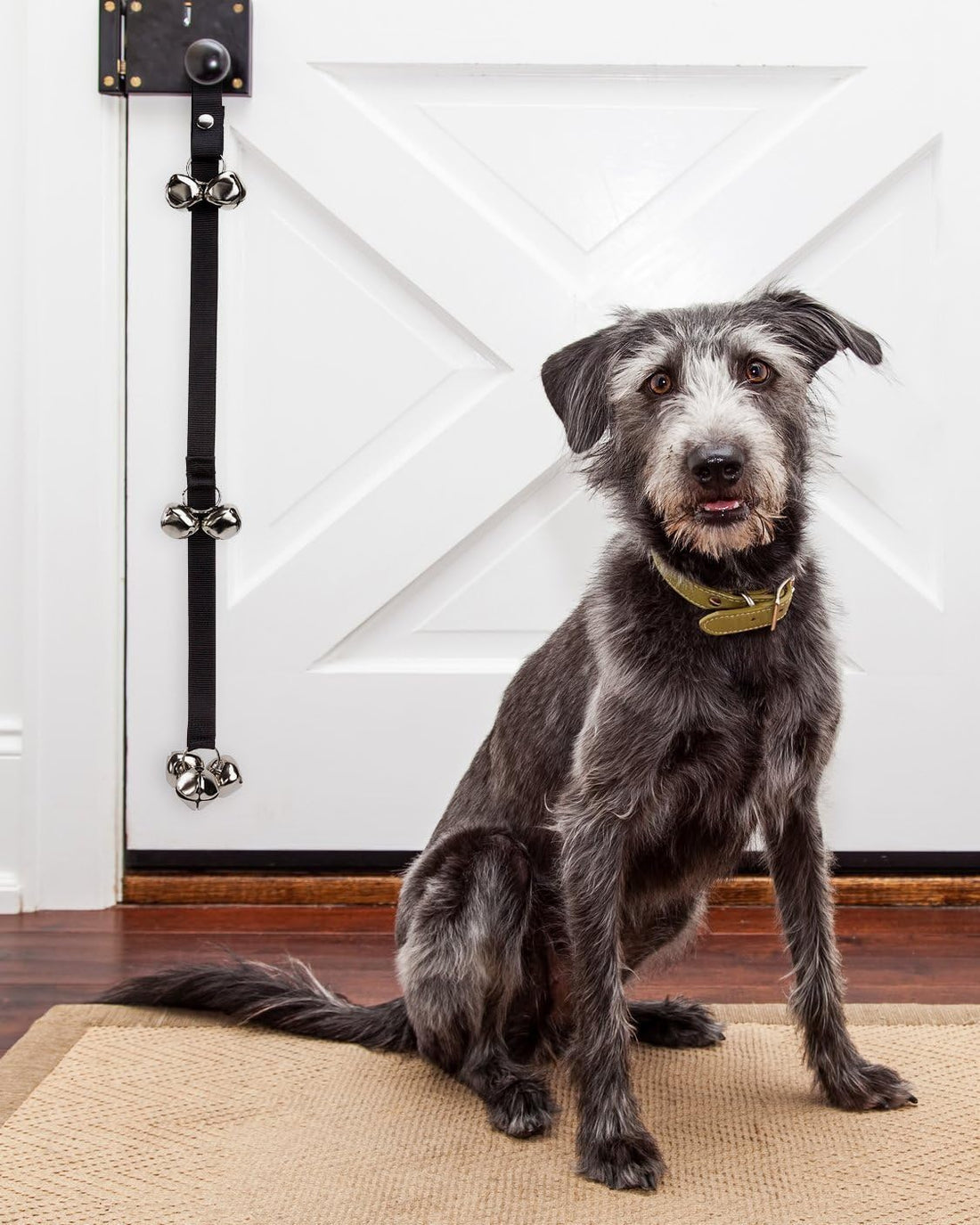 Friends Forever Housetraining Dog Doorbell for Bathroom Potty Training