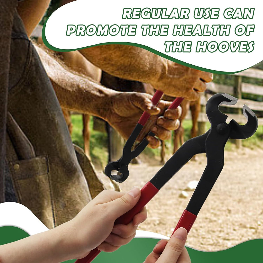 15 Inch Professional Horse Hoof Nipper Heavy Duty Hoof Nipper Farrier