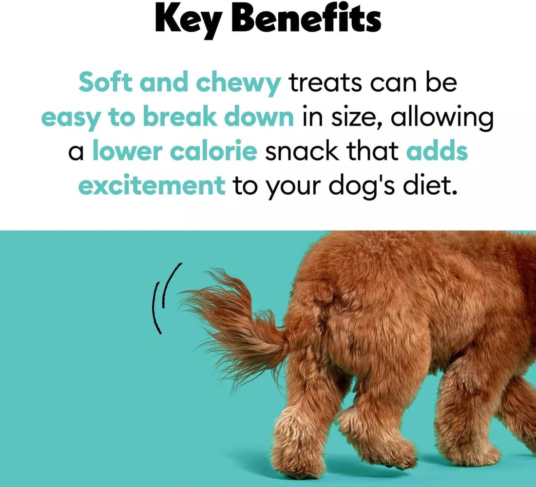 Wiggles and Wags Soft Chews Chicken & Cheese Recipe Bone-Shaped Treats