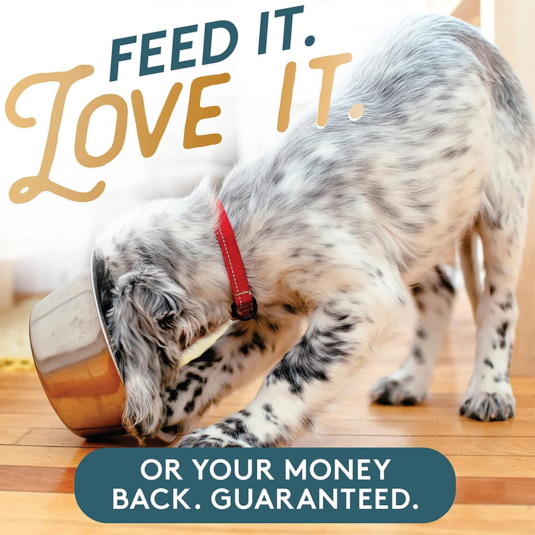 The Missing Link Pet Kelp Dog Probiotic Organic Supplement Powder