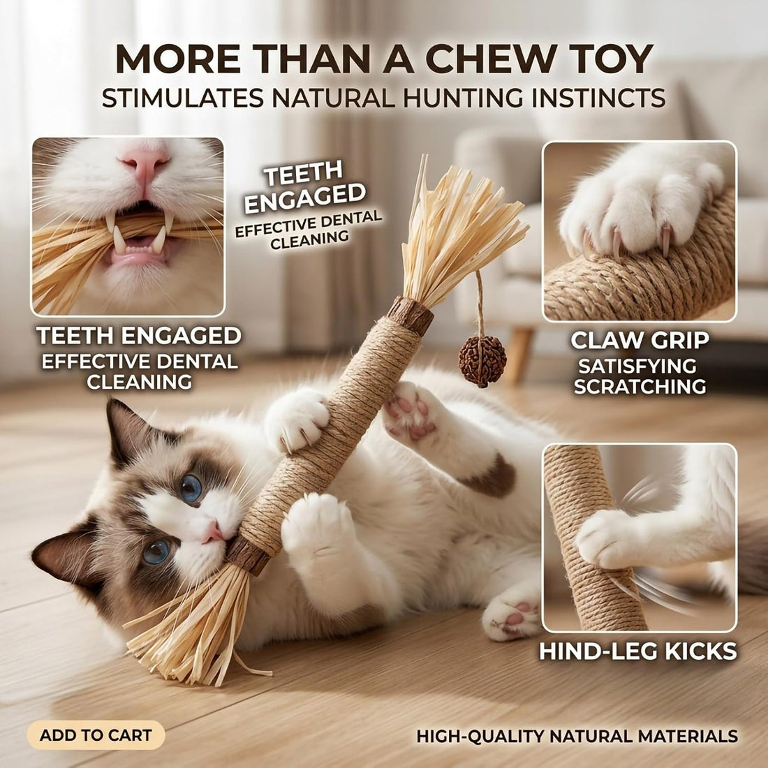 GREMBEB Cat Toys 12PCS Catnip Toy for Indoor Kitten Toys Cat Chew