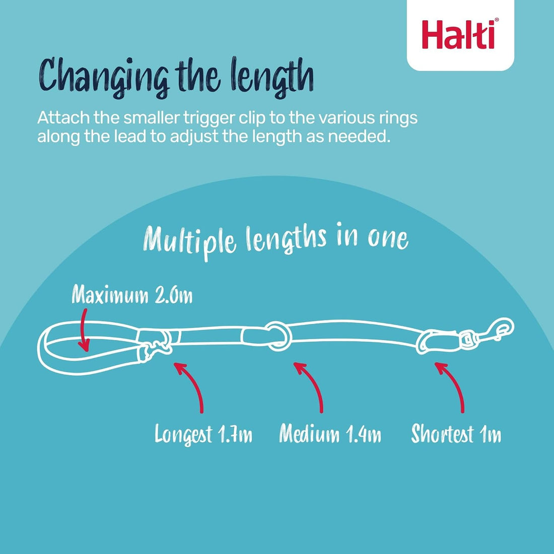 Halti Optifit Headcollar & Training Leash Bundle