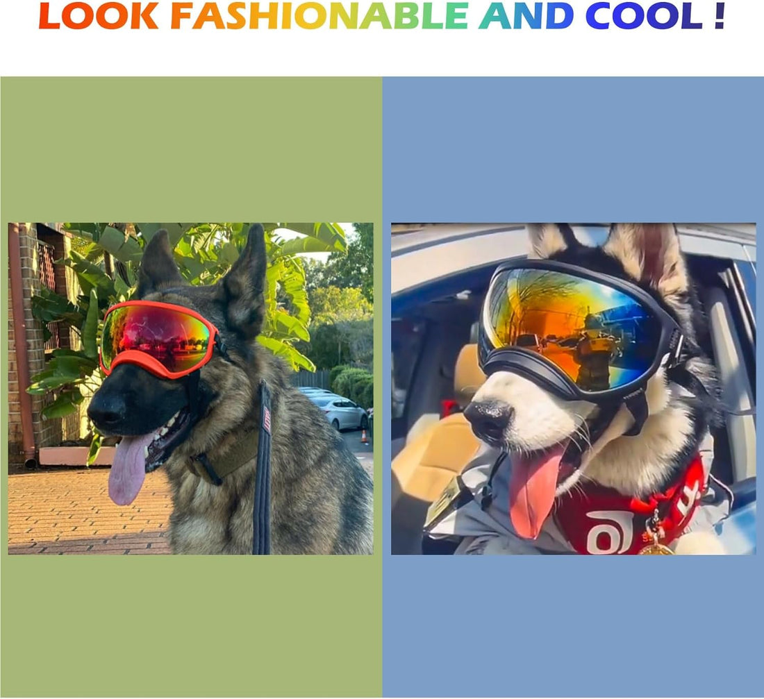 Medium Dog Sunglasses with Adjustable Strap UV Protection