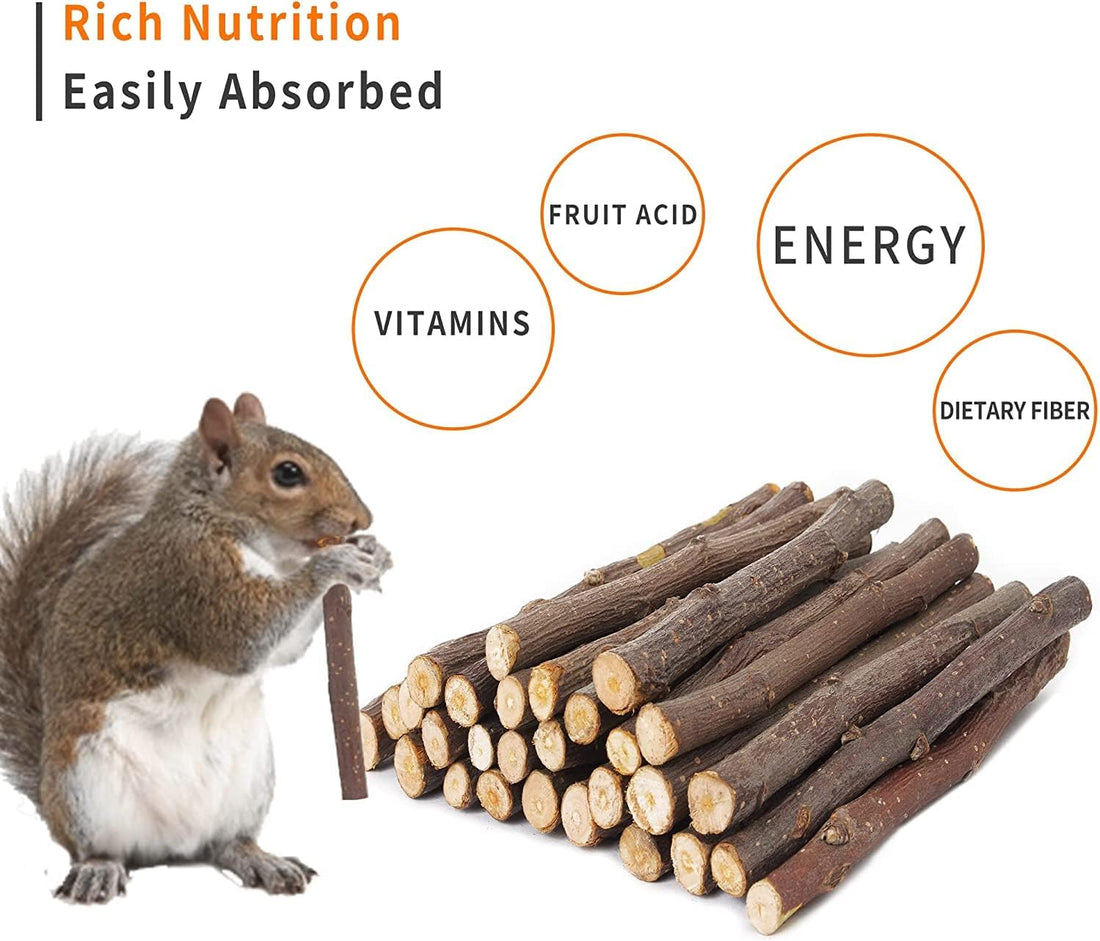 700g Apple Sticks Molar Wood Treats