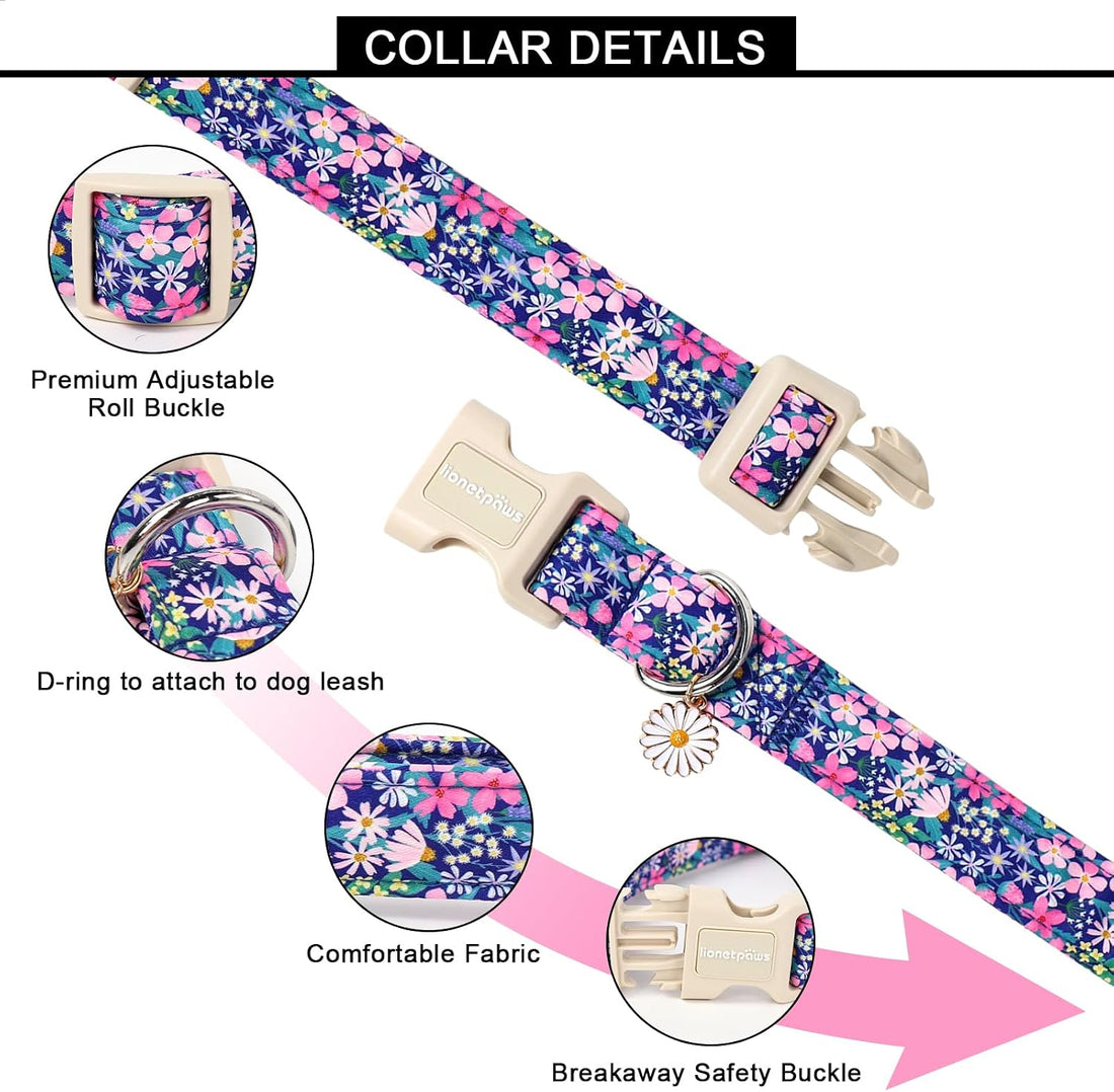 Lionet Paws Floral Dog Collar- Cute Spring Wildflowers Daisy Fleabane