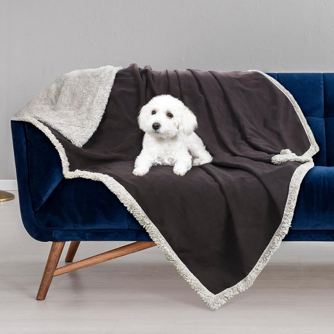 Kritter Planet Waterproof Reversible Pet Blanket for Small Dogs