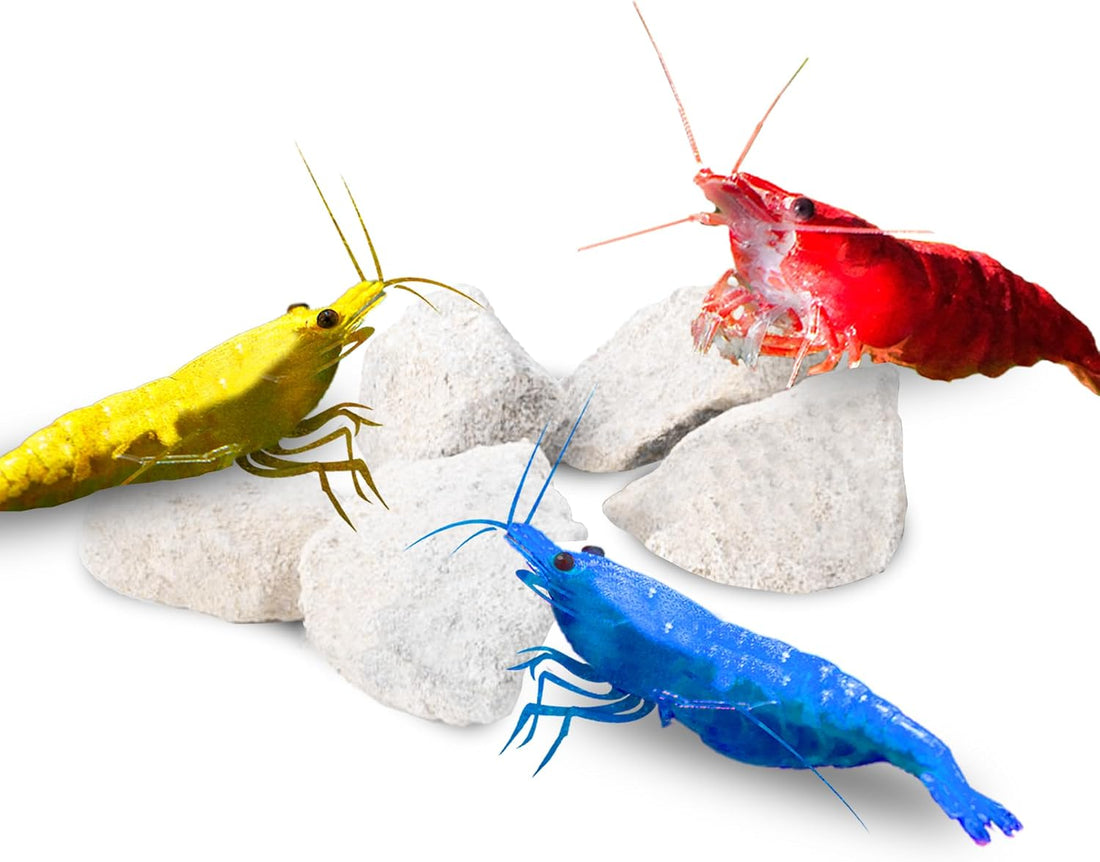 JOR Calcium Rocks for Shrimps, Color Enhancing Breeding Hideout
