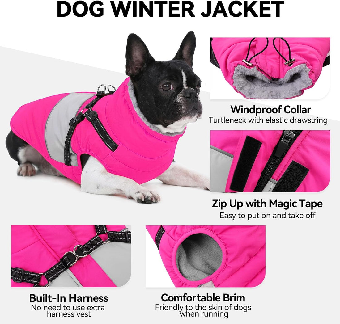 Warm Dog Coat with Harness Built in Dog Jacket for Small Dogs