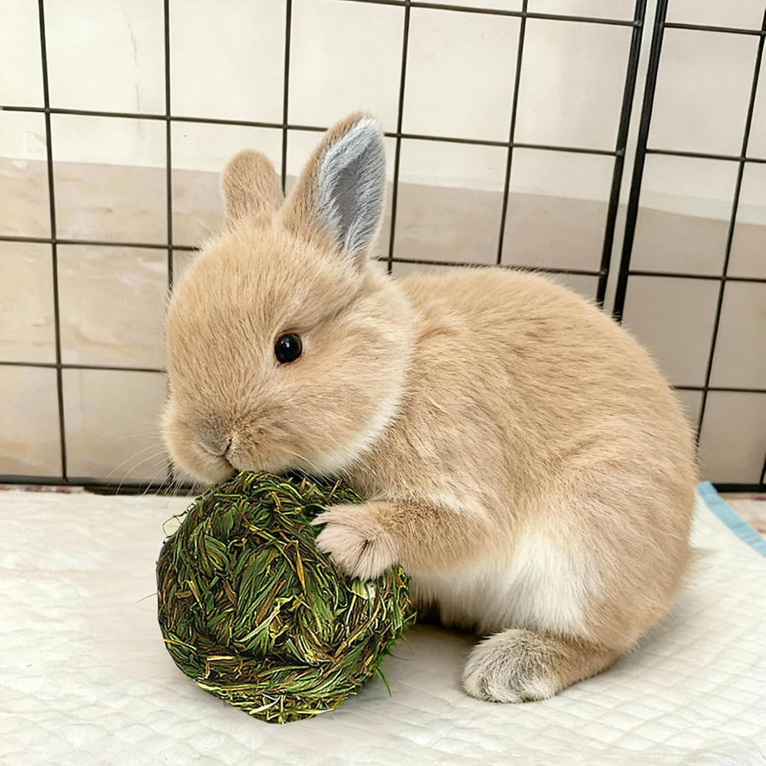 PINVNBY Hay Balls for Rabbits,4 PCS 100% Natural Timothy Hay Bunny
