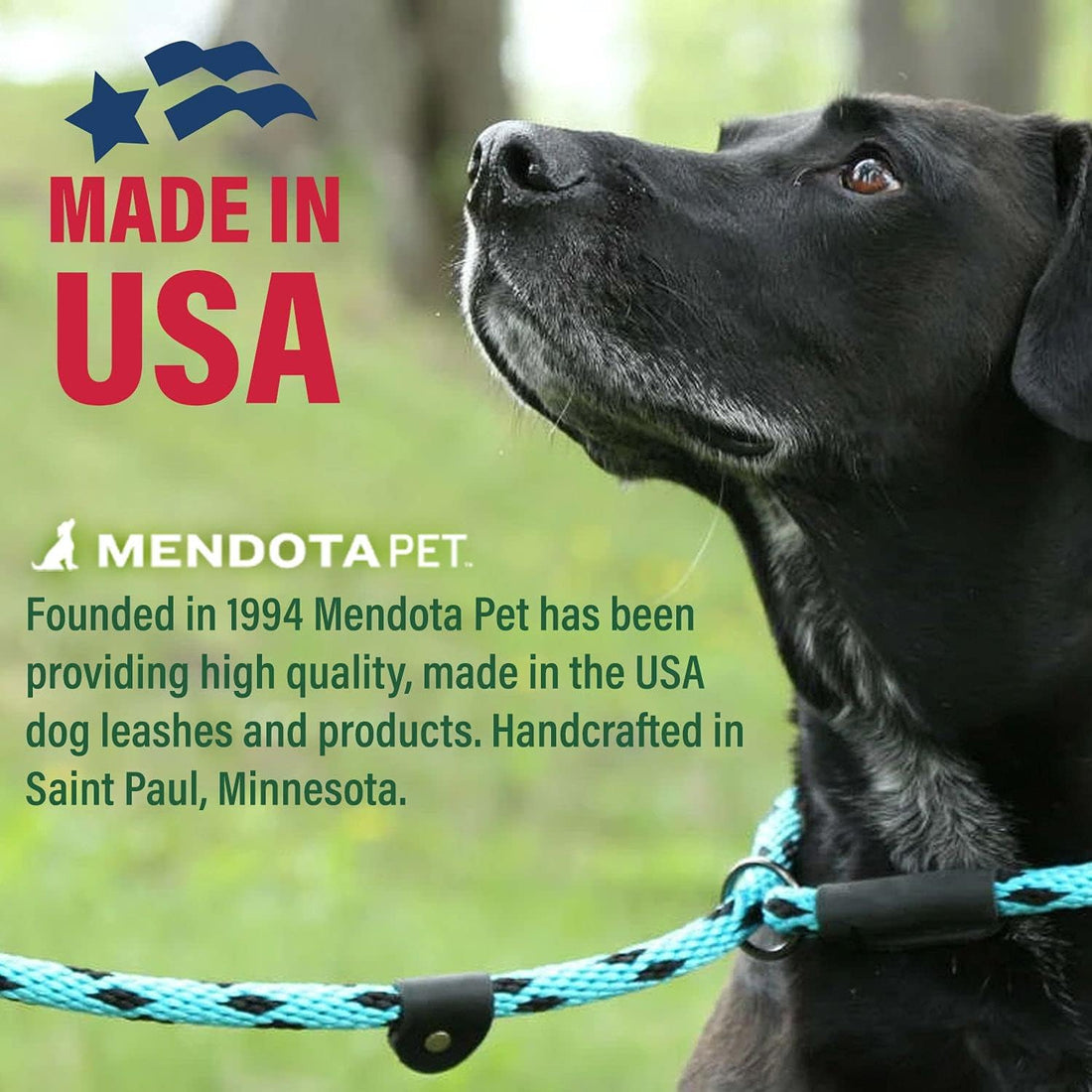 Mendota Pet Snap Leash - British-Style Braided Dog Lead