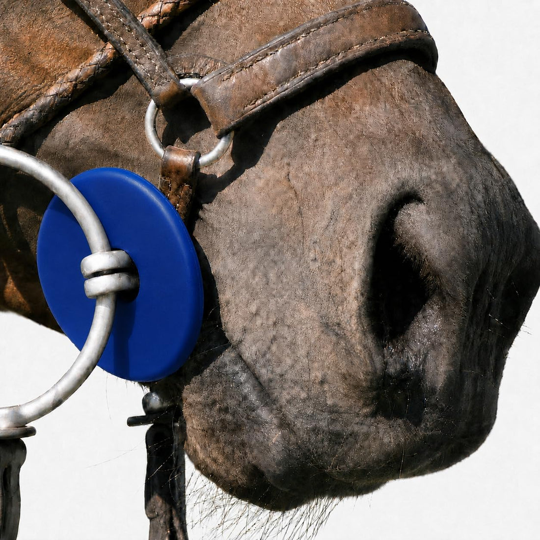 EquineMates Rubber Bit Guards Pair for Horse Bits 6 Colors
