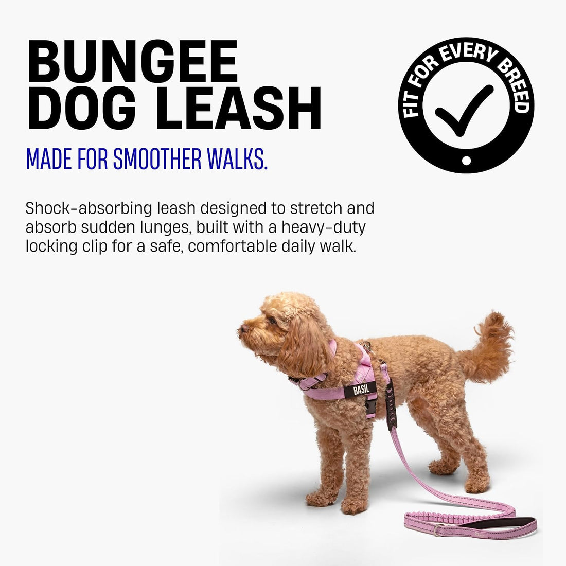 Dog Friendly Co. Bungee Dog Leash, Shock-Resistant