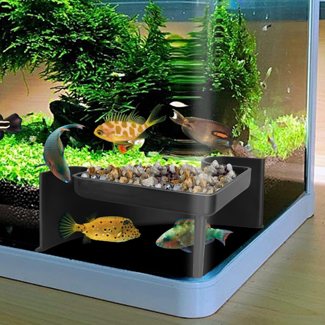 Aquarium Underground Tunnel 5"
