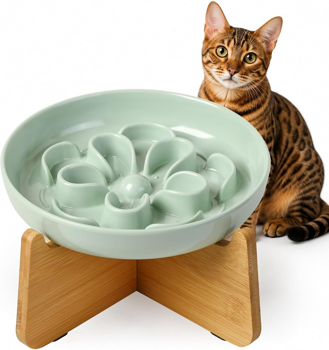Elevated Slow Feeder Cat Bowl