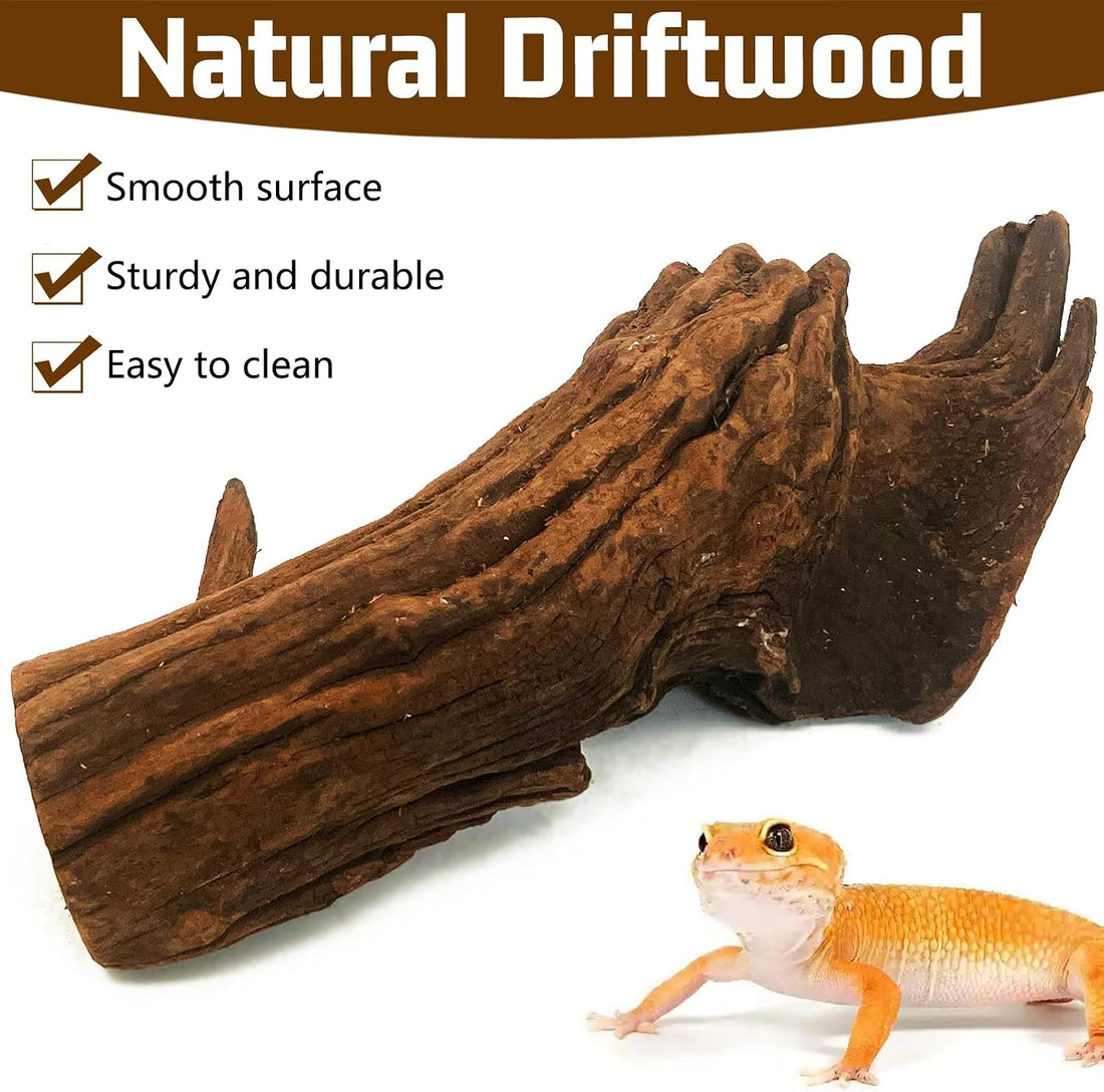 Hamiledyi Bearded Dragon Driftwood for Reptile
