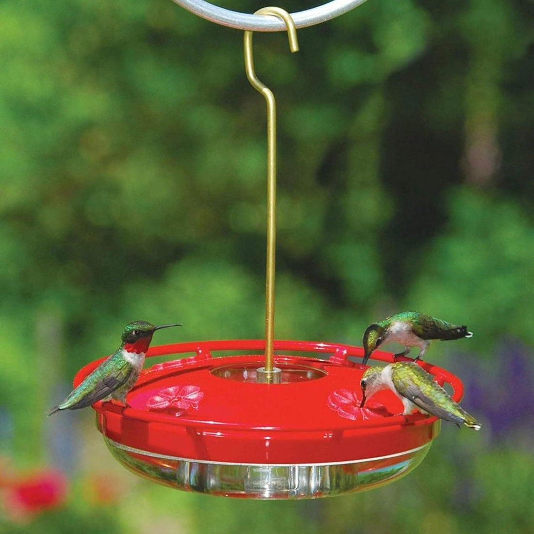 2 Pack Hummingbird Feeders for Outdoors, 5 Feeder Ports with Brush