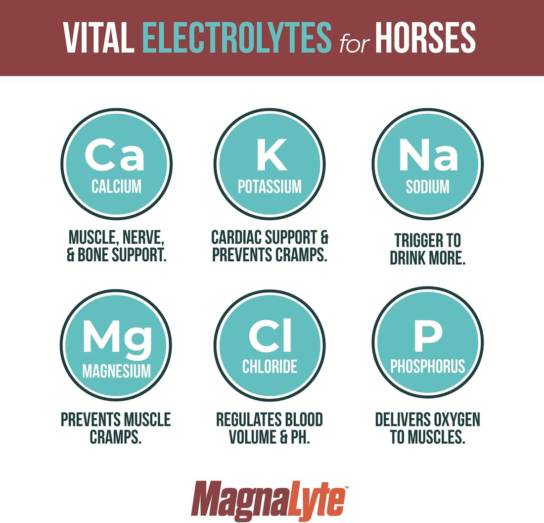 MagnaLyte Loose Salt and Electrolytes for Horses by Eagle Equine