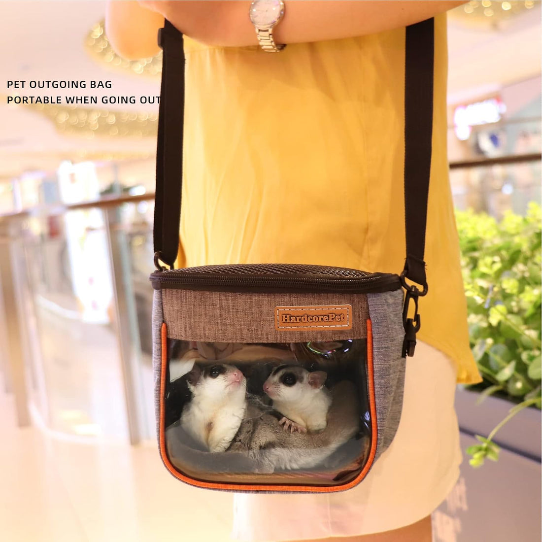Sugar Glider Carrier Bag, Transparent Breathable Travel Bag