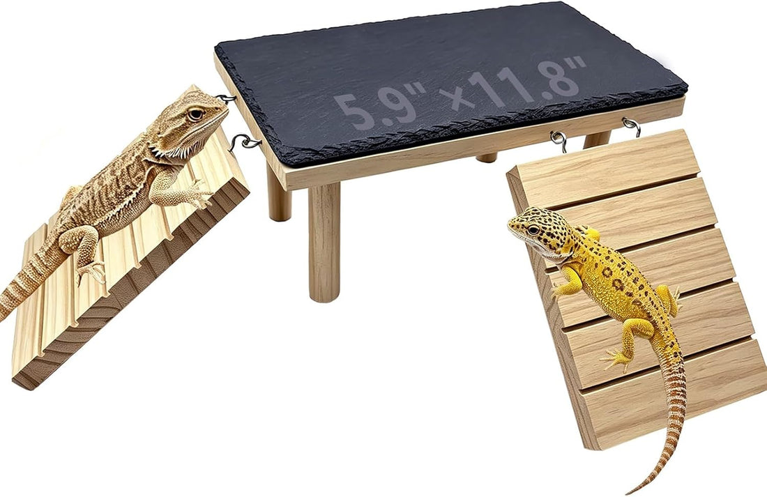 Bearded Dragon Basking Platform with Climbing Ramp & Reptile Rock