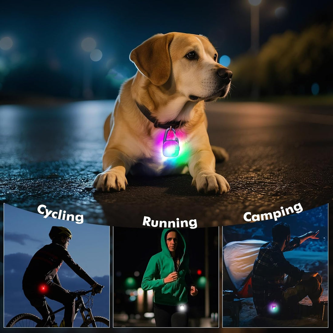 Dog Lights for Night Walking,2 Pack LED Rechargeable Safety Dog