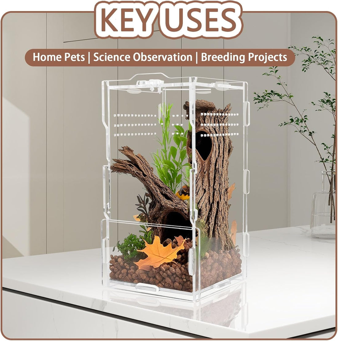 Jumping Spider Enclosure Kit 22pcs Terrarium with Decor
